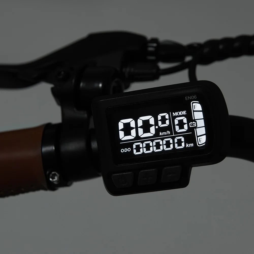 DYU C6 Pro Electric Bicycle TwoHundredFiftyWatt City EBike 36V Battery