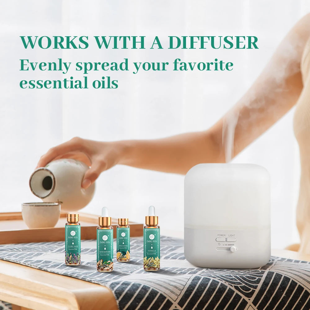 EVOKE OCCU Pure Essential Oils Set Fragrance Collection For Diffuser