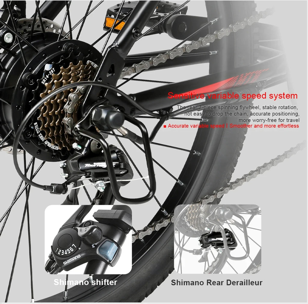 EBE2 All Terrain Electric Bike With 350W Motor 36V 13Ah