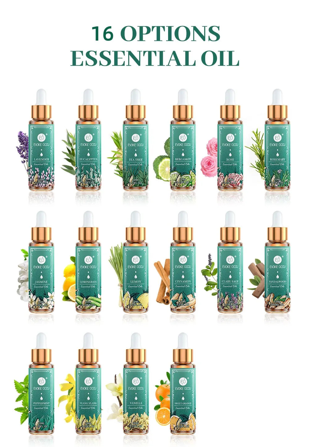 EVOKE OCCU Pure Essential Oils Set Fragrance Collection For Diffuser