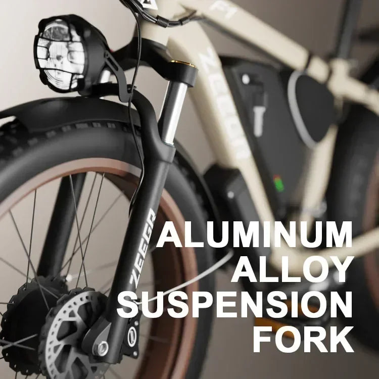 F1 2000W Dual Motor Electric Bike