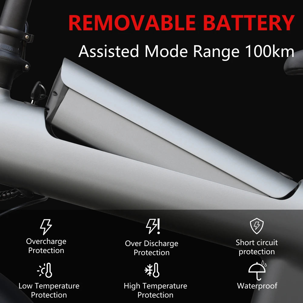 HX 2000W Electric Mountain Bike 48V 20Ah Fat Tire Edition