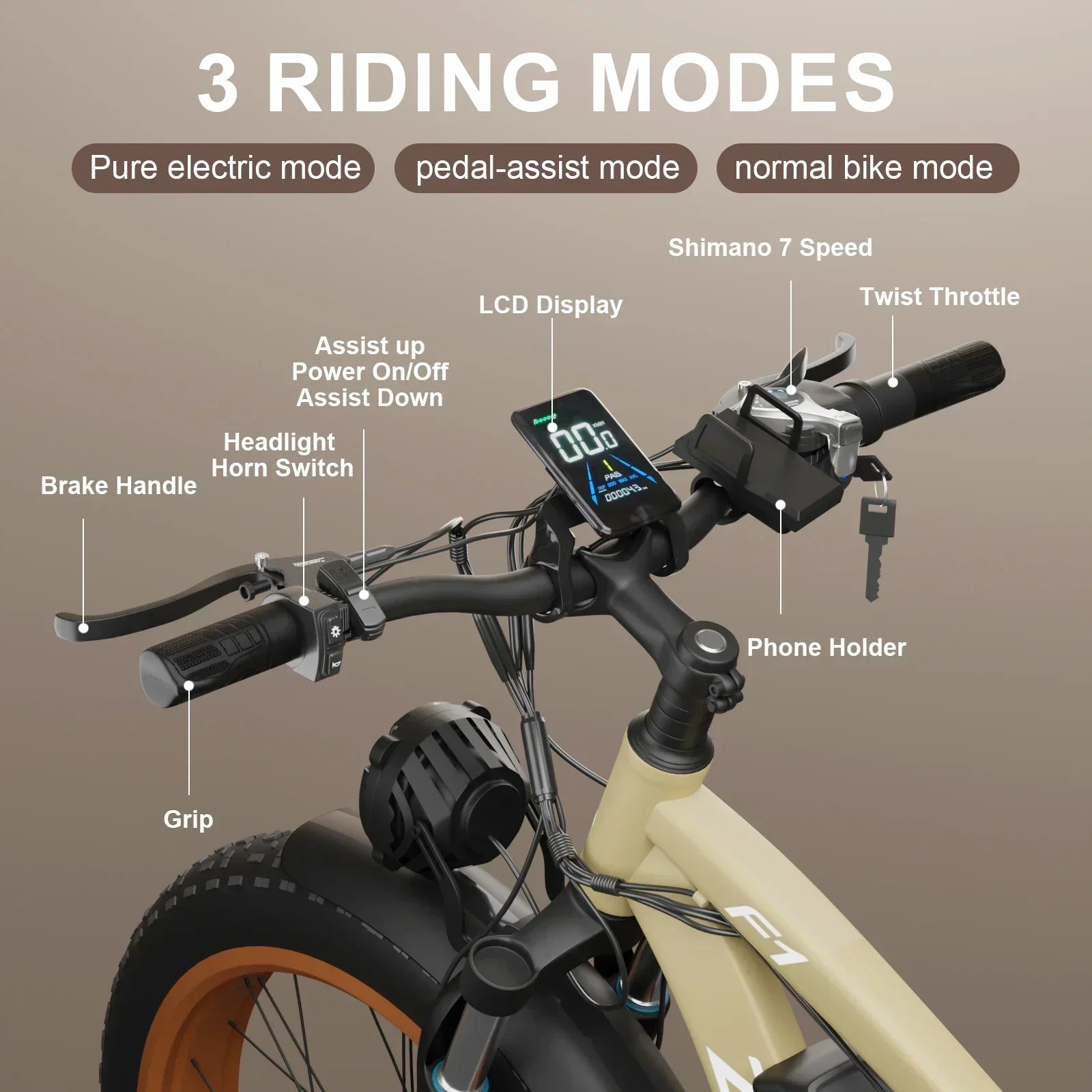 F1 2000W Dual Motor Electric Bike