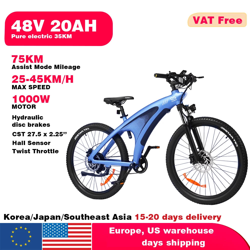 HX Q5 2000W Electric Bicycle 48V Battery For Adults