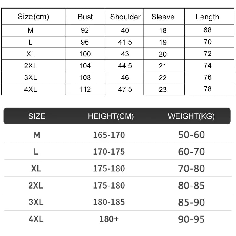 Men's Summer Breathable Elastic Ice Silk T Shirt Quick Dry