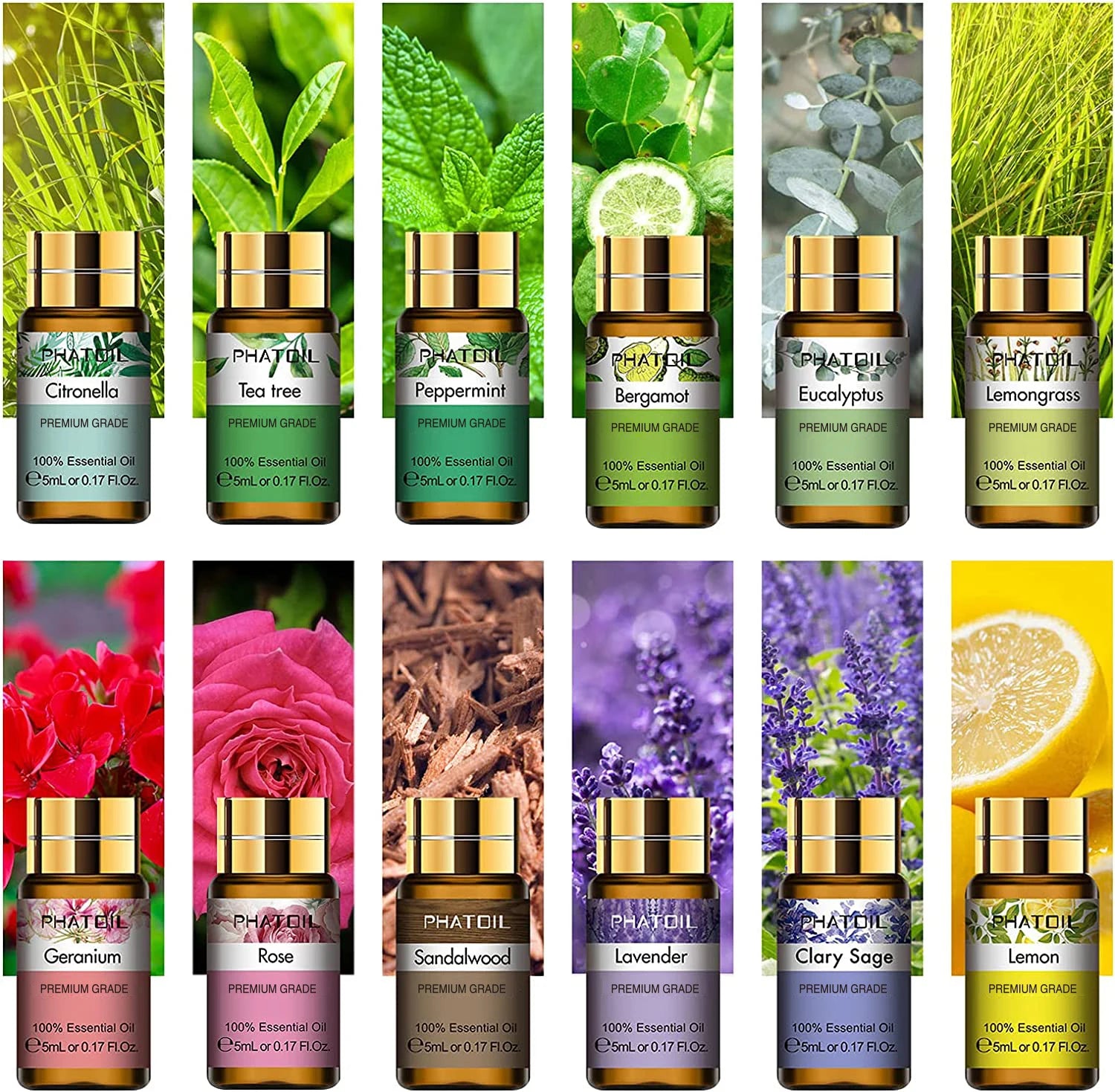 PHATOIL 12Pc Gift Box Pure Essential Oils Set For Diffusers