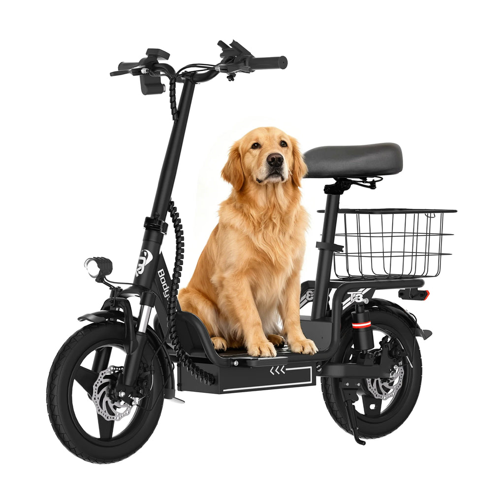 Bodywel T3 Foldable Electric Bike Powered By 48V Lithium Battery