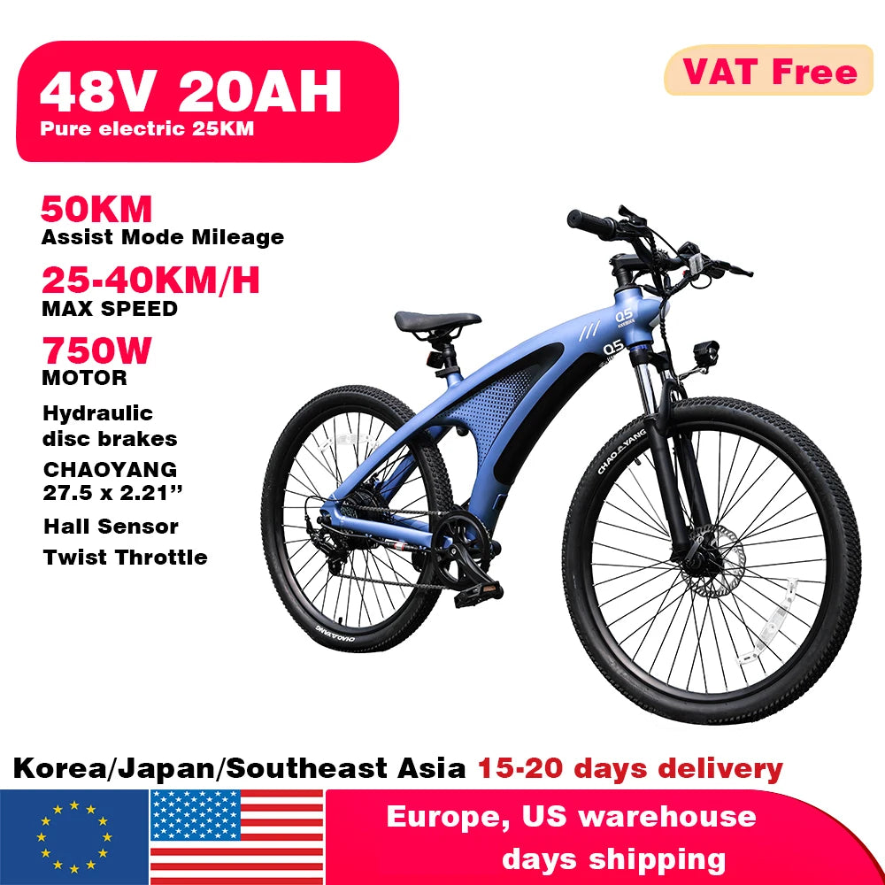 HX Q5 2000W Electric Bicycle 48V Battery For Adults