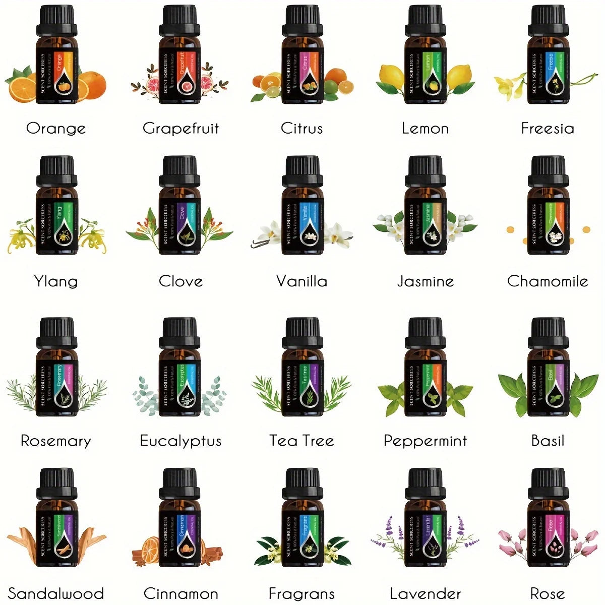 Scent Sorceress 20Pcs Essential Oil Set Lavender Eucalyptus Lemon Orange