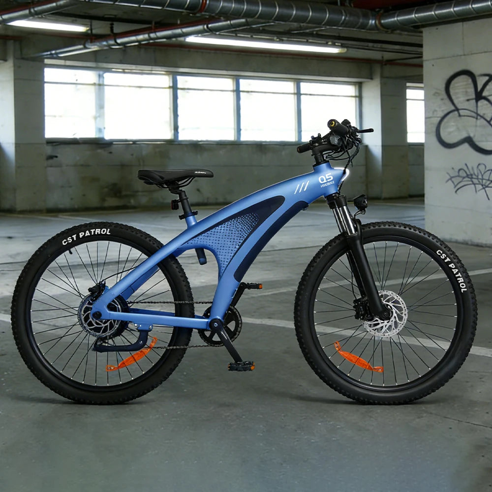 HX Q5 2000W Electric Bicycle 48V Battery For Adults